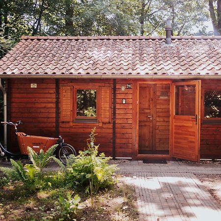 Sfeervolle Blokhut Met Fijne Buitenruimte @ Veluwe Epe Exterior foto