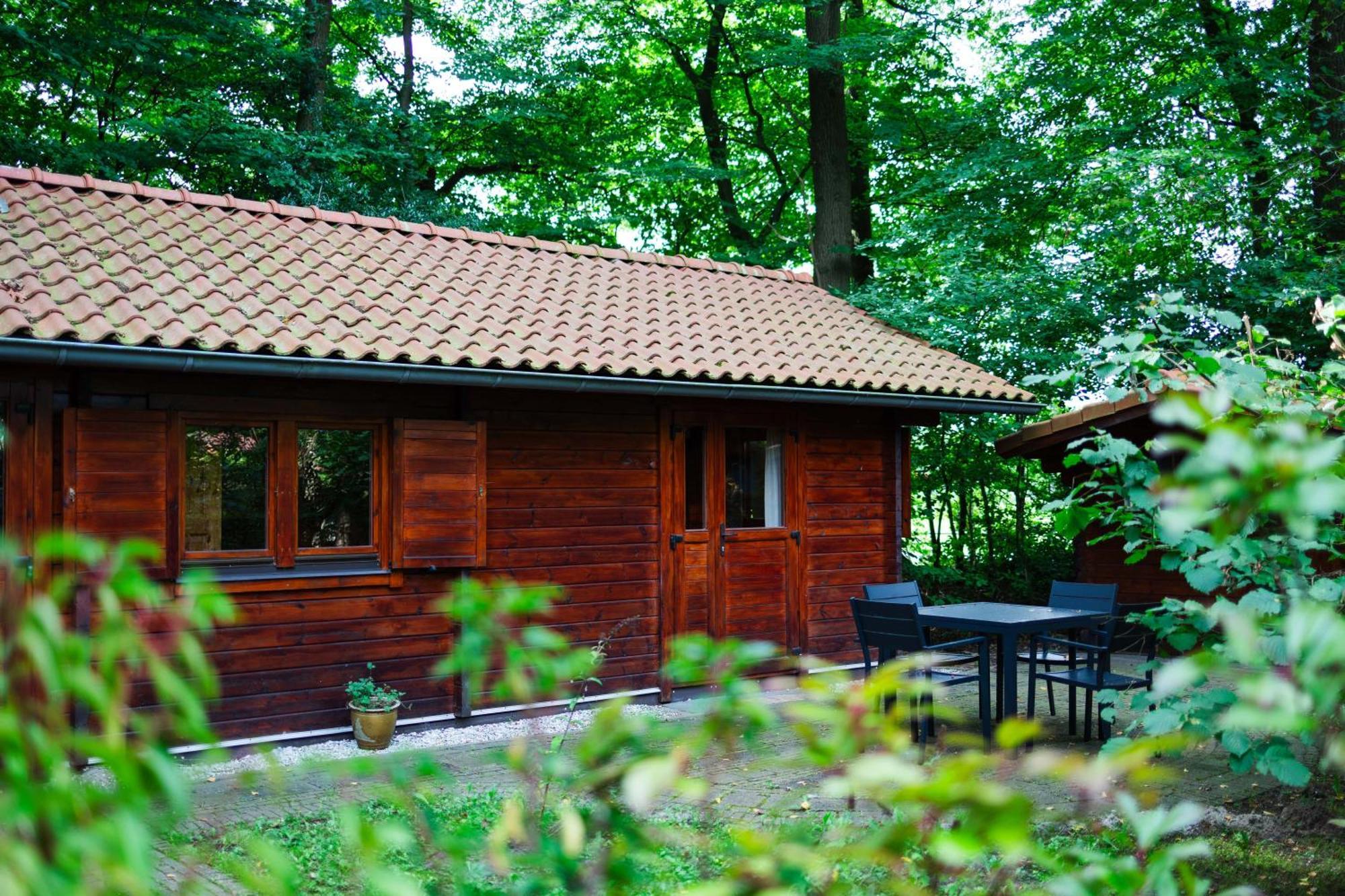 Sfeervolle Blokhut Met Fijne Buitenruimte @ Veluwe Epe Exterior foto
